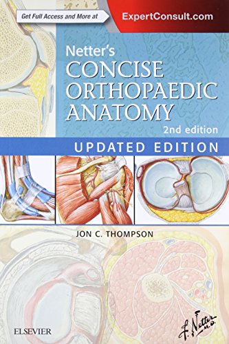 Beispielbild fr Netter's Concise Orthopaedic Anatomy, Updated Edition (Netter Basic Science) zum Verkauf von BooksRun