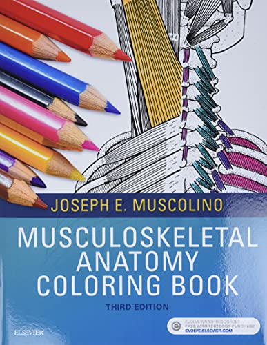 Stock image for Musculoskeletal Anatomy Coloring Book for sale by HPB-Red