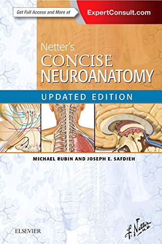 Beispielbild fr Netter's Concise Neuroanatomy zum Verkauf von Blackwell's