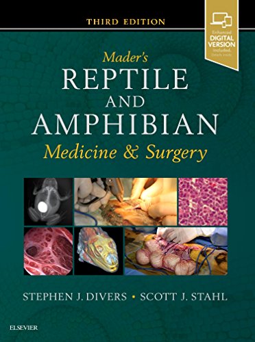 Imagen de archivo de Mader's Reptile and Amphibian Medicine and Surgery a la venta por Byrd Books