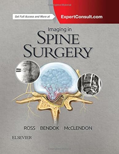 Beispielbild fr Imaging in Spine Surgery zum Verkauf von SecondSale