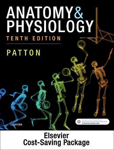 Stock image for Anatomy & Physiology - Text and Laboratory Manual Package for sale by HPB-Red