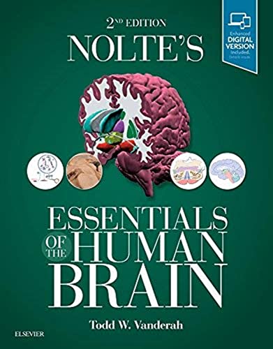Beispielbild fr Nolte's Essentials of the Human Brain: With STUDENT CONSULT Online Access zum Verkauf von BooksRun