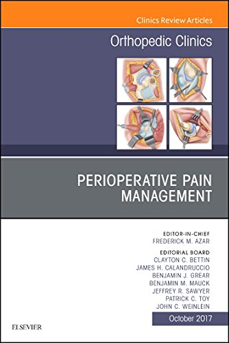 Stock image for Perioperative Pain Management, An Issue of Orthopedic Clinics, 1e (The Clinics: Orthopedics) for sale by Chiron Media