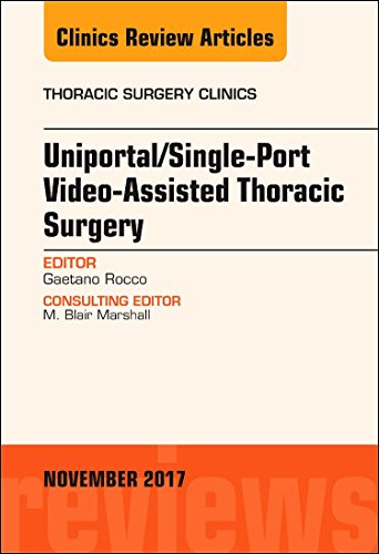 Imagen de archivo de Uniportal/Single-Port Video-Assisted Thoracic Surgery, An Issue of Thoracic Surgery Clinics, 1e: Volume 27-4 (The Clinics: Surgery) a la venta por Chiron Media