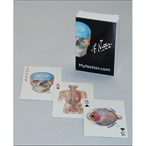 Beispielbild fr Netter Playing Cards: Netter's Anatomy Art Card Deck (Single Pack), 1e (Netter Basic Science) zum Verkauf von Monster Bookshop