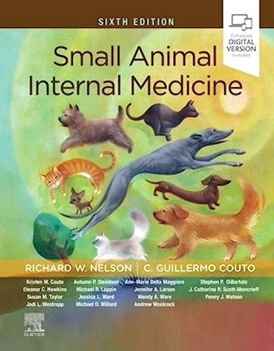 Beispielbild fr Small Animal Internal Medicine zum Verkauf von BooksRun
