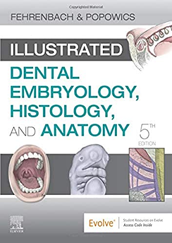 Beispielbild fr Illustrated Dental Embryology, Histology, and Anatomy zum Verkauf von BooksRun
