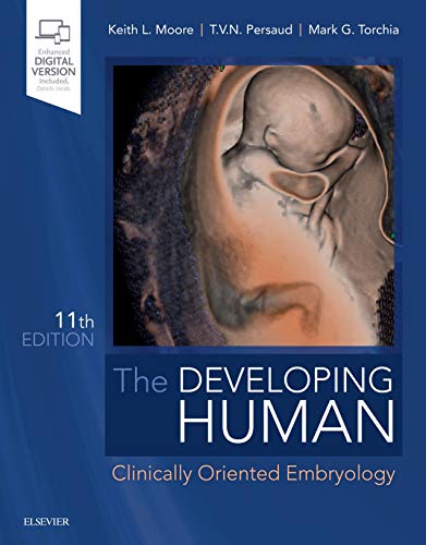 Beispielbild fr The Developing Human: Clinically Oriented Embryology zum Verkauf von Monster Bookshop