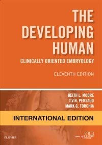 Stock image for THE DEVELOPING HUMAN CLINICALLY ORIENTED EMBRYOLOGY 11ED (IE) (PB 2019) for sale by Majestic Books