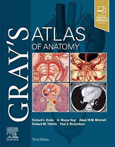 Beispielbild fr Gray's Atlas of Anatomy (Gray's Anatomy) zum Verkauf von GF Books, Inc.