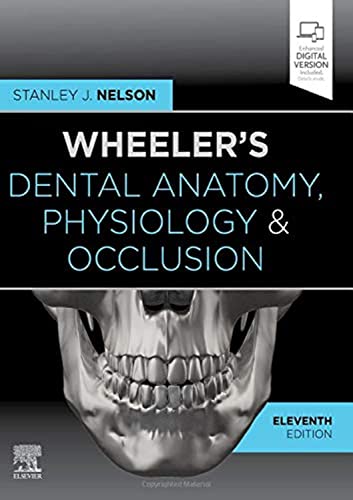 Imagen de archivo de Wheeler's Dental Anatomy, Physiology and Occlusion: Expert Consult a la venta por BooksRun