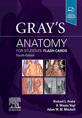 Imagen de archivo de Gray's Anatomy for Students Flash Cards: with STUDENT CONSULT Online Access a la venta por HPB-Red
