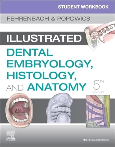 Beispielbild fr Student Workbook for Illustrated Dental Embryology, Histology and Anatomy zum Verkauf von BooksRun