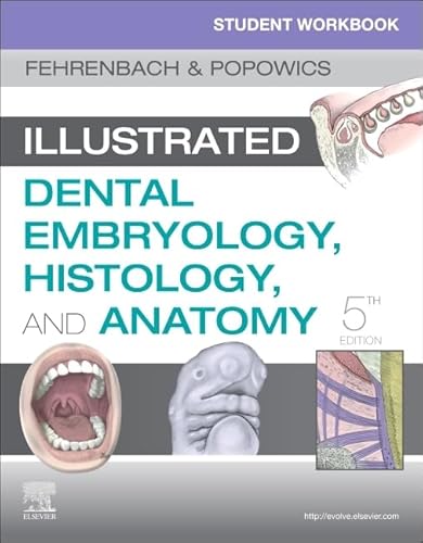 Stock image for Student Workbook for Illustrated Dental Embryology, Histology and Anatomy for sale by SecondSale