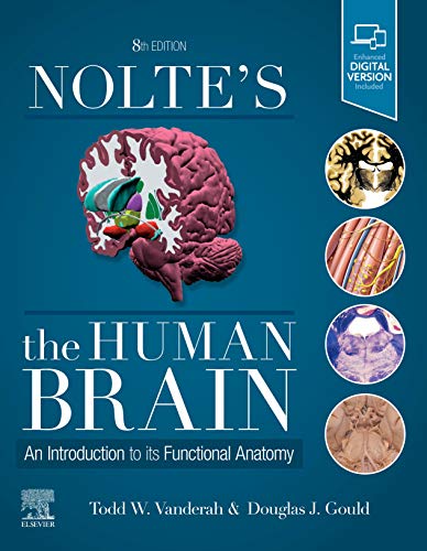 Imagen de archivo de Nolte's The Human Brain: An Introduction to its Functional Anatomy a la venta por A Team Books