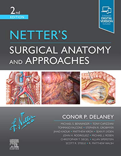 Imagen de archivo de Netter's Surgical Anatomy and Approaches (Netter Clinical Science) a la venta por Byrd Books