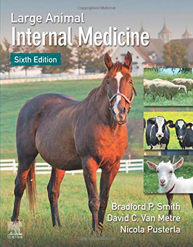 Imagen de archivo de Large Animal Internal Medicine a la venta por Brook Bookstore