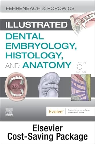 Stock image for Illustrated Dental Embryology, Histology, and Anatomy - Text and Student Workbook Package for sale by Textbooks_Source