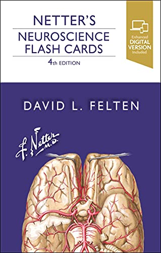 Stock image for Netter's Neuroscience Flash Cards for sale by Book Deals