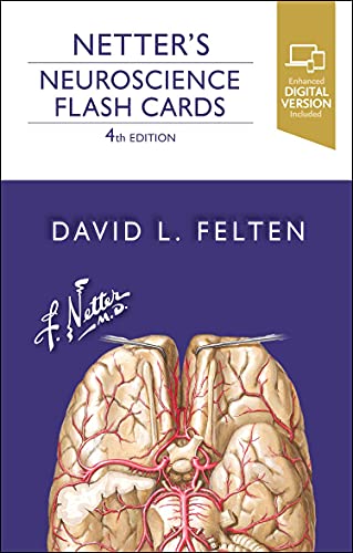 

Netter's Neuroscience Flash Cards