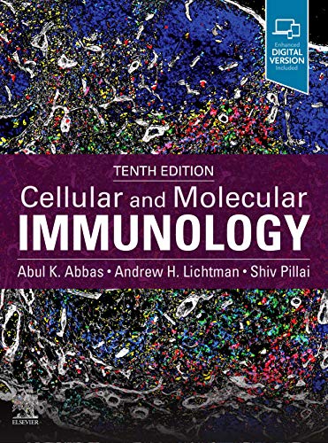 Beispielbild fr Cellular and Molecular Immunology zum Verkauf von Blackwell's