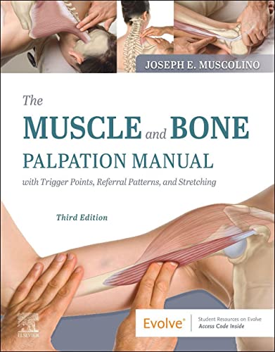 Stock image for The Muscle and Bone Palpation Manual with Trigger Points for sale by Romtrade Corp.