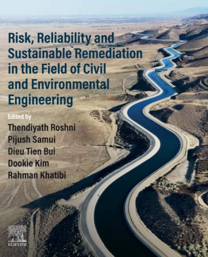 Stock image for Risk, Reliability and Sustainable Remediation in the Field of Civil and Environmental Engineering for sale by Brook Bookstore On Demand