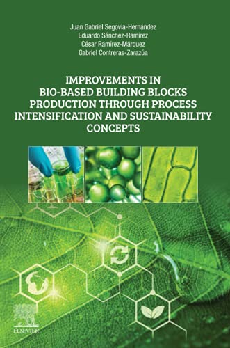 Imagen de archivo de Improvements in Bio-Based Building Blocks Production Through Process Intensification and Sustainability Concepts a la venta por Brook Bookstore On Demand