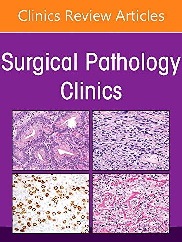 

Genitourinary Pathology, An Issue of Surgical Pathology Clinics (Volume 15-4) (The Clinics: Internal Medicine, Volume 15-4)