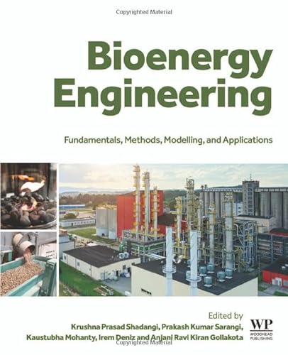 Stock image for Bioenergy Engineering: Fundamentals, Methods, Modelling, and Applications for sale by Brook Bookstore On Demand