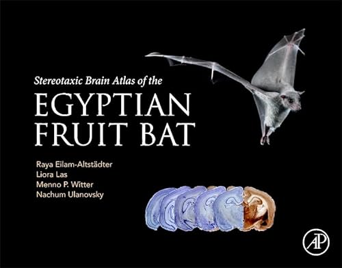 Stock image for Stereotaxic Brain Atlas of the Egyptian Fruit Bat for sale by Open Books