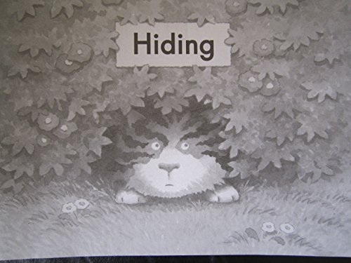 Imagen de archivo de Hiding (Fountas and Pinnell Leveled Literacy Intervention Books, Orange System, Level B, Book 39) a la venta por SecondSale