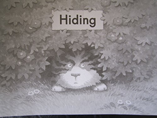 9780325017945: Hiding (Fountas and Pinnell Leveled Literacy Intervention Books, Orange System, Level B, Book 39)