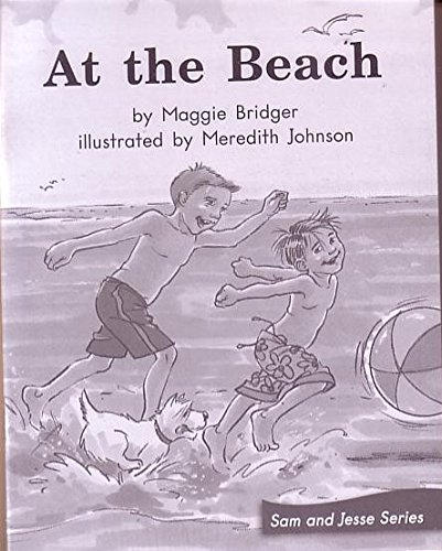 9780325020167: AT THE BEACH (My Take-Home Book: Blue System, Book 47, Level G) 6 PAK