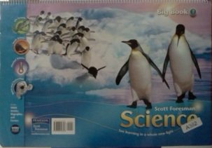 Stock image for SCIENCE 2006 FLIPCHART BIG BOOK GRADE 1 for sale by Nationwide_Text
