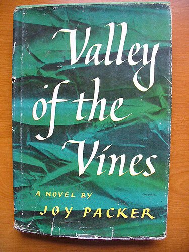 Beispielbild fr Valley of the Vines zum Verkauf von WorldofBooks