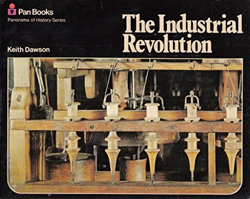 Imagen de archivo de Industrial Revolution (Panorama of History S.) a la venta por WorldofBooks