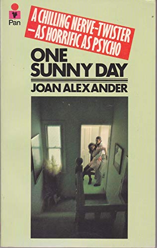 9780330246903: One Sunny Day