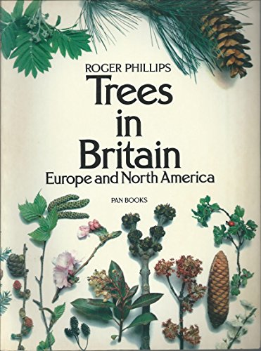 Beispielbild fr Trees in Britain, Europe and North America zum Verkauf von WorldofBooks