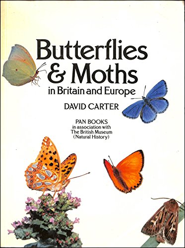 Stock image for Butterflies and Moths in Britain and Europe for sale by WorldofBooks