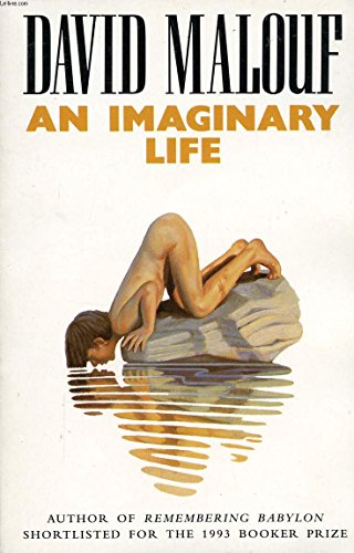 Beispielbild fr An Imaginary Life (Picador Books) zum Verkauf von WorldofBooks