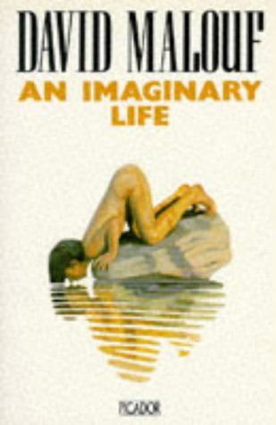 Imagen de archivo de An Imaginary Life (Picador Books) a la venta por WorldofBooks
