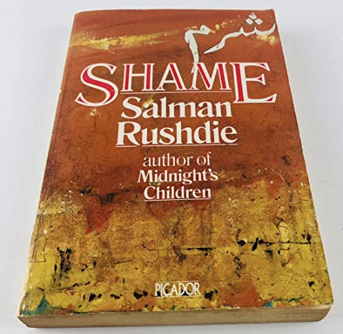 Imagen de archivo de Shame (Picador Books) a la venta por AwesomeBooks