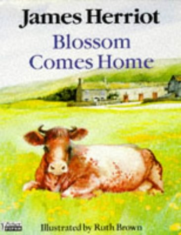 Stock image for Blossom Comes Home for sale by SecondSale