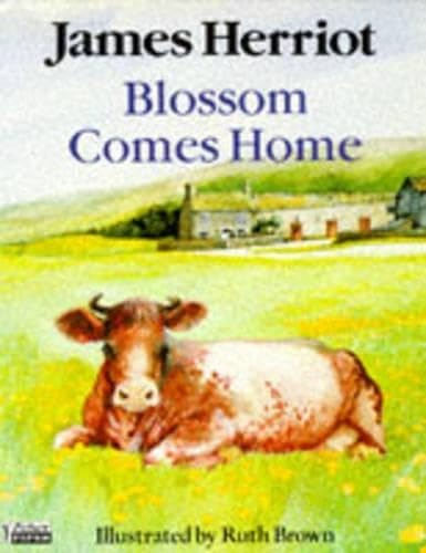 9780330314718: Blossom Comes Home