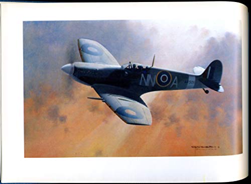 Beispielbild fr Wings - Combat Aircraft of the Second World War in Paintings zum Verkauf von Allyouneedisbooks Ltd