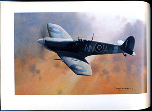 Wings - Combat Aircraft of the Second World War in Paintings