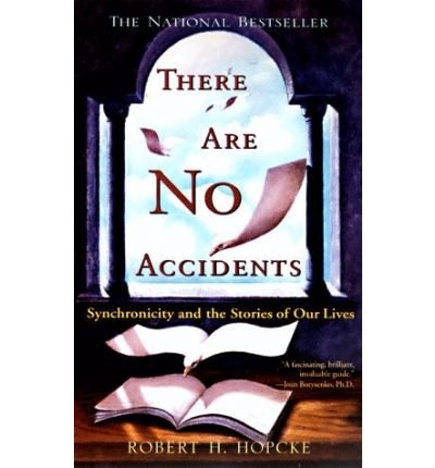 9780330367745: There Are No Accidents Hopcke Robert