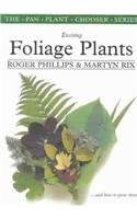 Imagen de archivo de Exciting Foliage Plants: And How to Grow Them (The Pan Plant Chooser Series) a la venta por GF Books, Inc.